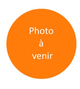 Guillaume Vachon-Beaudoin (Chimie)